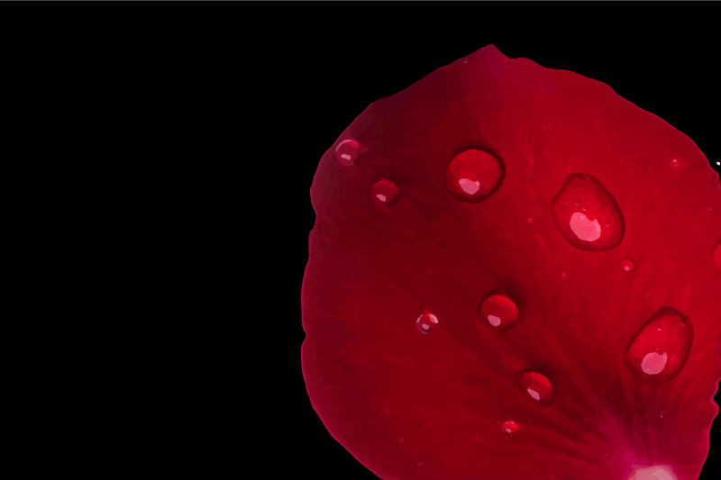 Individual mesa patrón superficie de pétalos rojos - TenVinilo