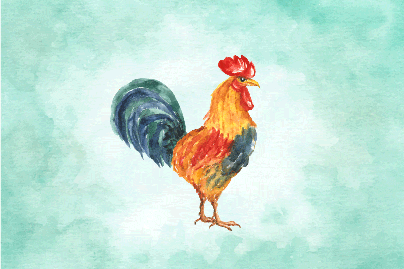 Individual mesa original ilustración de gallo colorido - TenVinilo