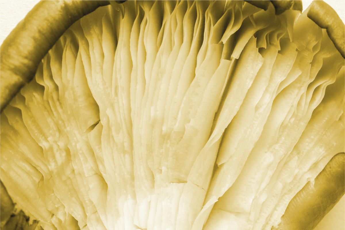 Individual mesa patrón capas de hojas curvas - TenVinilo