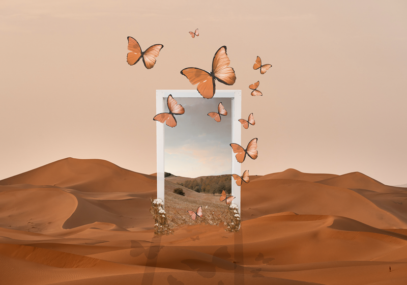 Individual mesa original marco de mariposas emergentes - TenVinilo