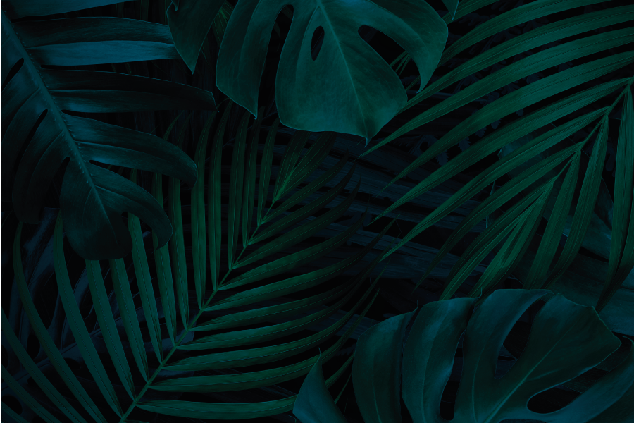 Mantel individual patrón Hojas y plantas del bosque - TenVinilo