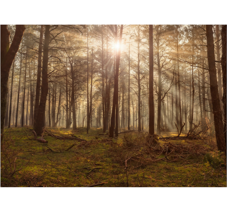 Mural de bosque salón de vida salvaje dorado - TenVinilo