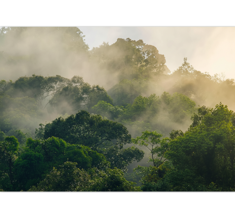 Mural de bosque dosel de jungla exuberante - TenVinilo