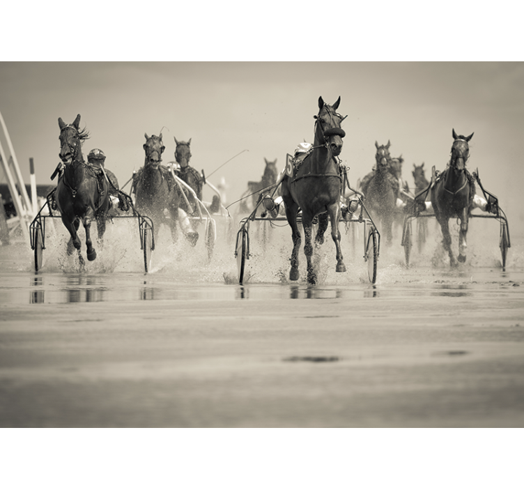 Fotomural animale Corriendo grupo de caballos - TenVinilo