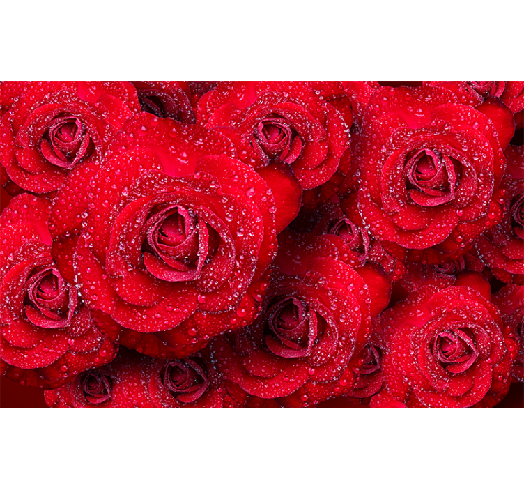 Mural de rosas rojas en flor - TenVinilo