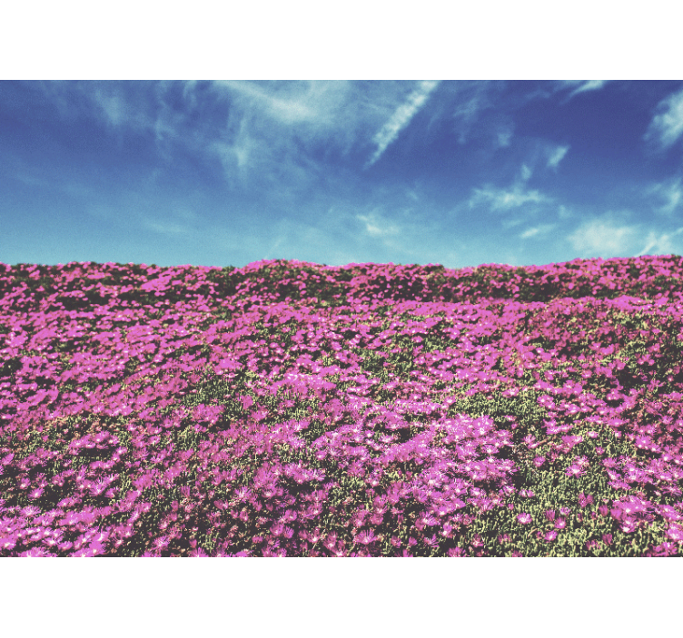 Mural de flores rosas de tono rosa brillante - TenVinilo
