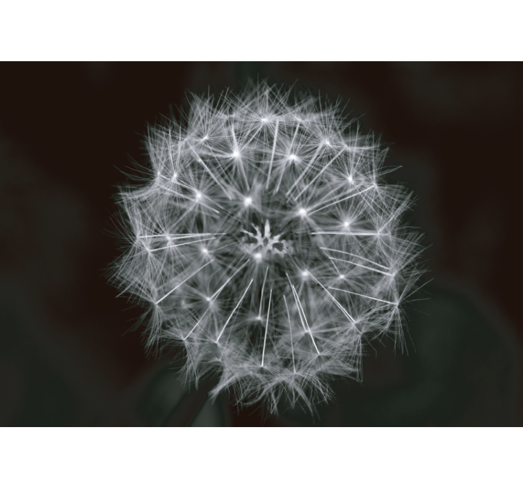 Mural de león estallido de diente de león delicado - TenVinilo