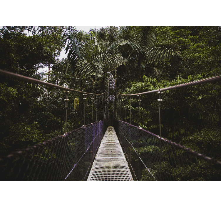 Mural de naturaleza aventura en puente colgante - TenVinilo