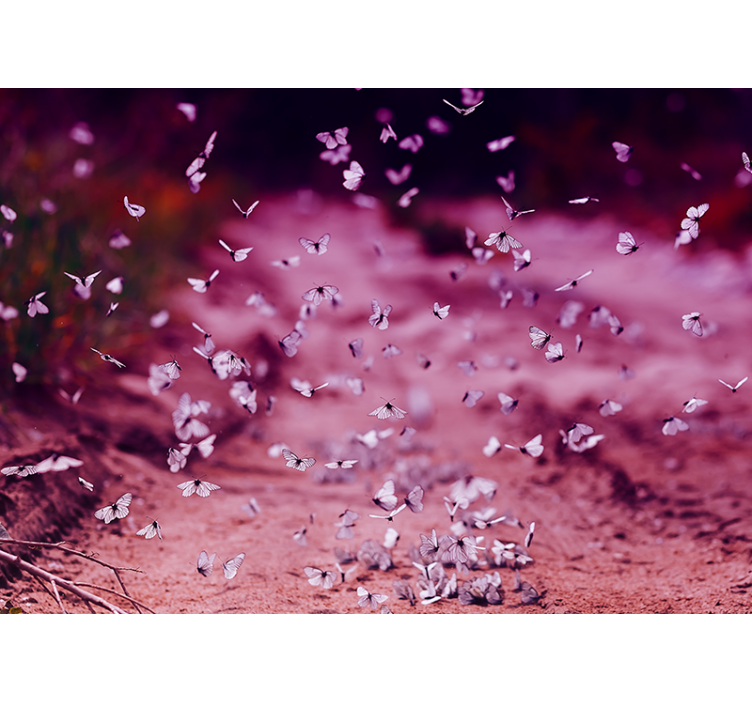 Fotomural flores Mariposa de repollo blanco - TenVinilo
