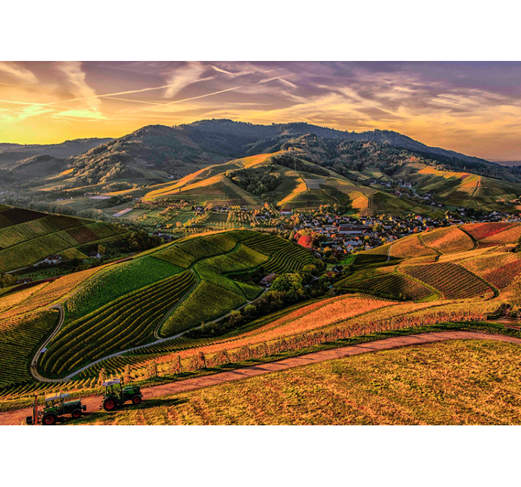 Mural para comedor Montaña y campo verde - TenVinilo