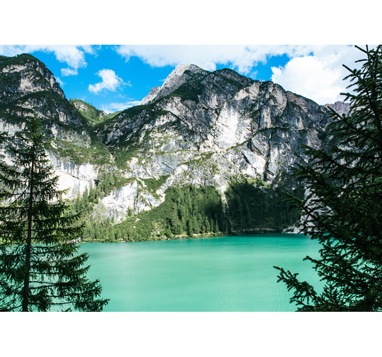 Mural de paisajes gran panorama de montañas - TenVinilo