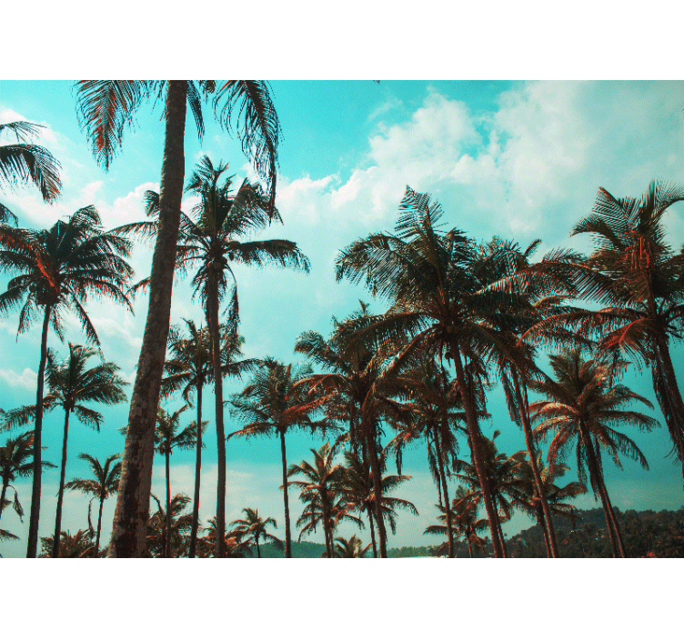 Mural de naturaleza paraíso de palmeras - TenVinilo