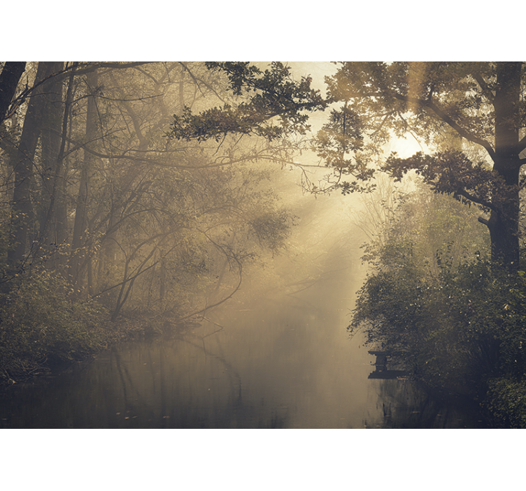 Mural de naturaleza bosque luminoso - TenVinilo