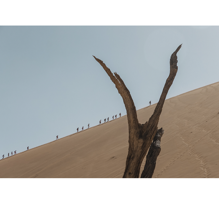 Mural de desierto silueta de excursionistas en las dunas - TenVinilo