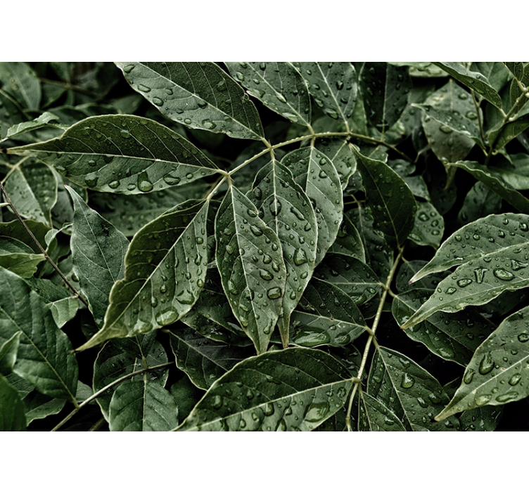 Mural de naturaleza superficie de follaje vibrante - TenVinilo