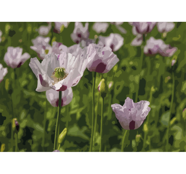 Mural amapolas elegancia floral - TenVinilo