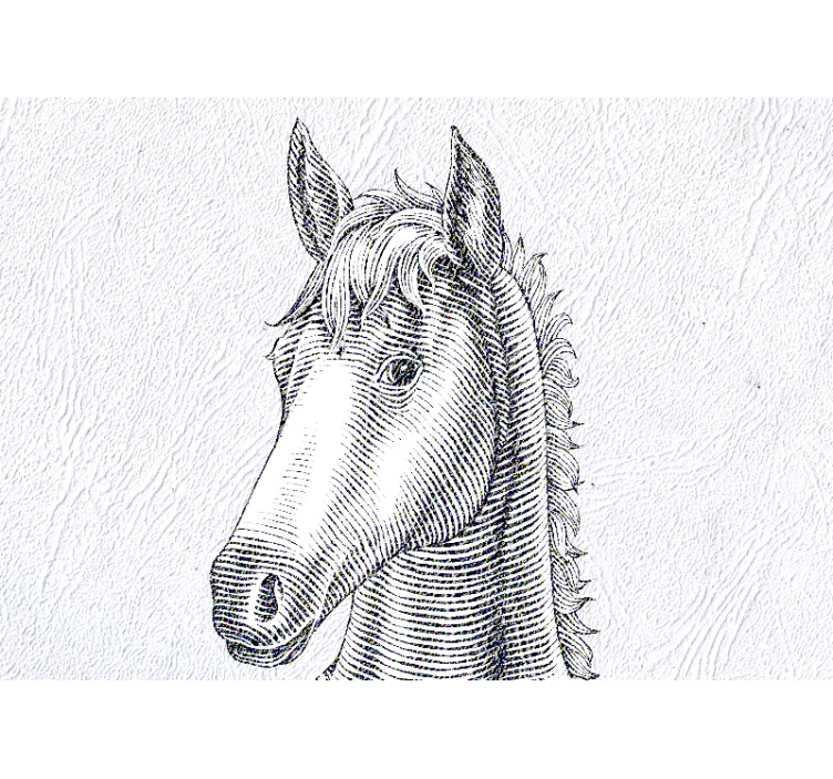 Fotomural animale Lindas orejas de caballo - TenVinilo