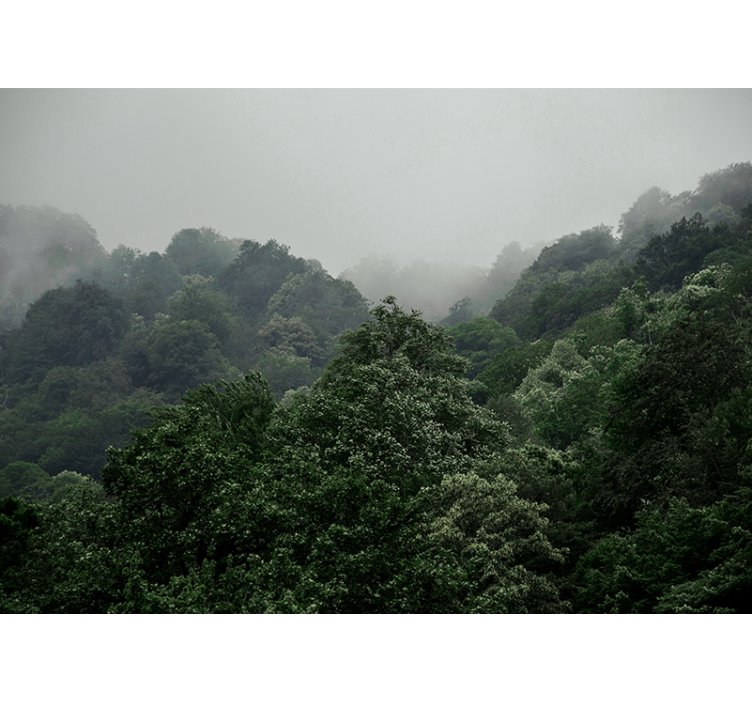 Mural de bosque paisaje brumoso - TenVinilo