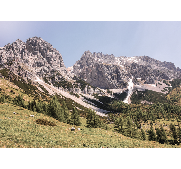 Fotomural de montañas Campo verde con montañas nevadas - TenVinilo