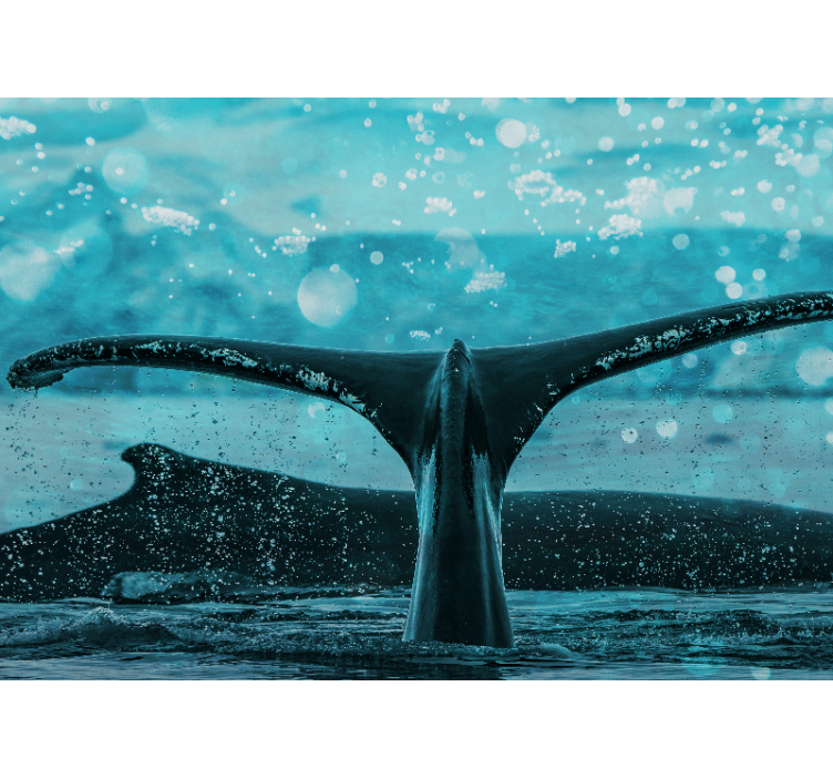 Mural de animales aleta de ballena salpicando - TenVinilo
