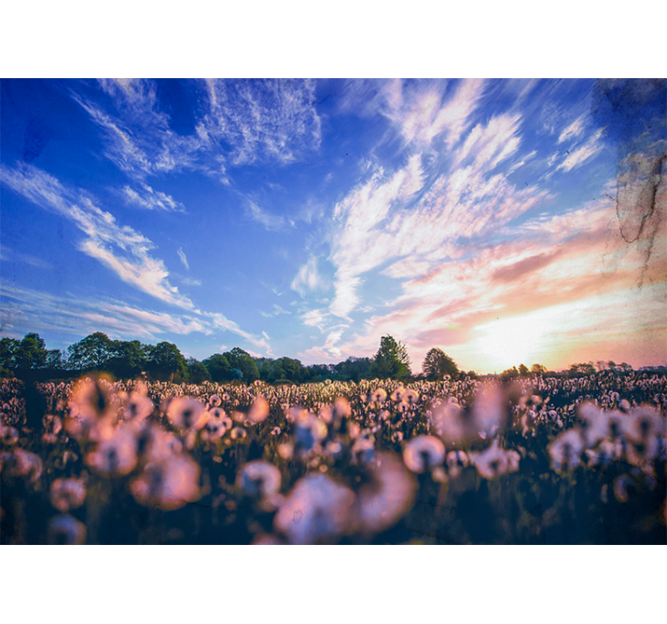Fotomural naturaleza Luz del sol en la naturaleza estética - TenVinilo