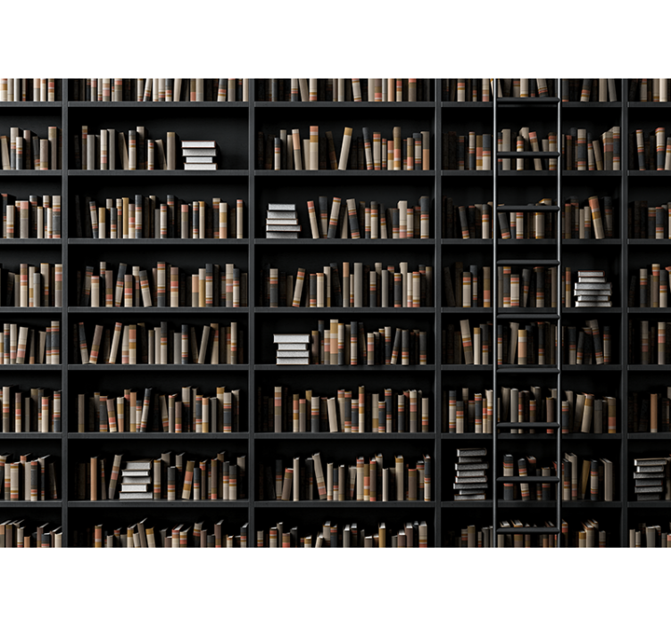 Mural efecto piedra surtido de libros biblioteca - TenVinilo