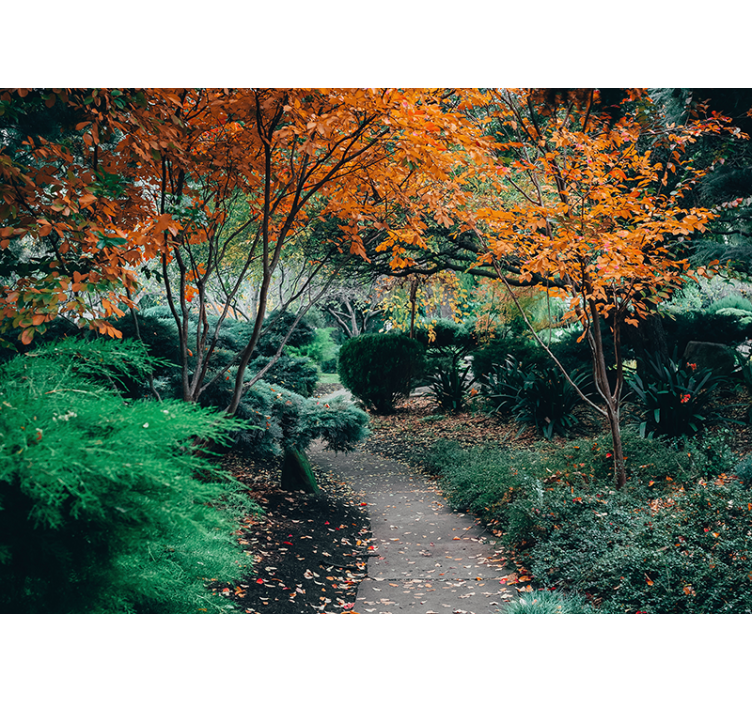 Mural de naturaleza sendero entre árboles - TenVinilo