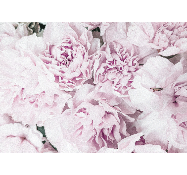 Mural de flores flores suaves en rosa - TenVinilo