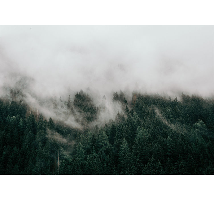Mural de bosque paisaje de bosque brumoso - TenVinilo