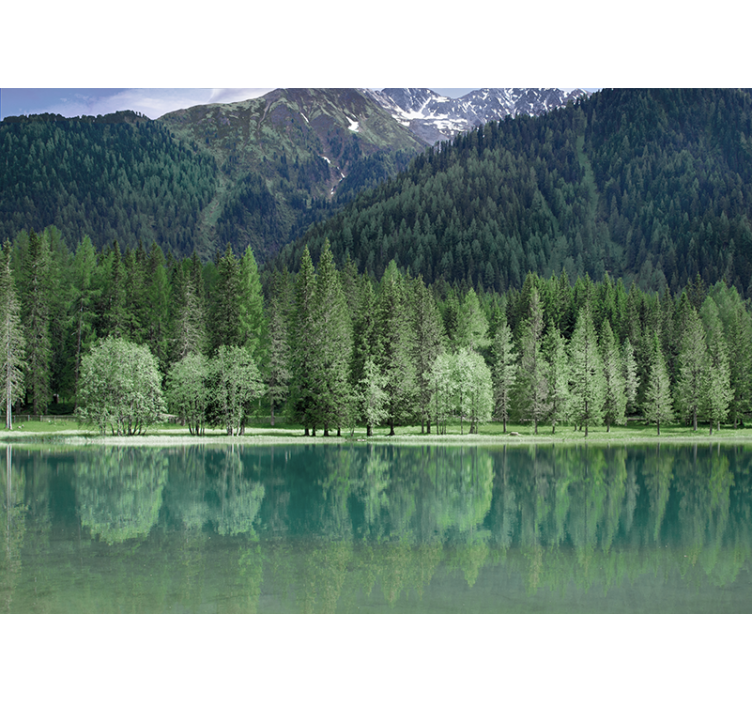 Fotomural naturaleza Hermoso lago verdoso - TenVinilo