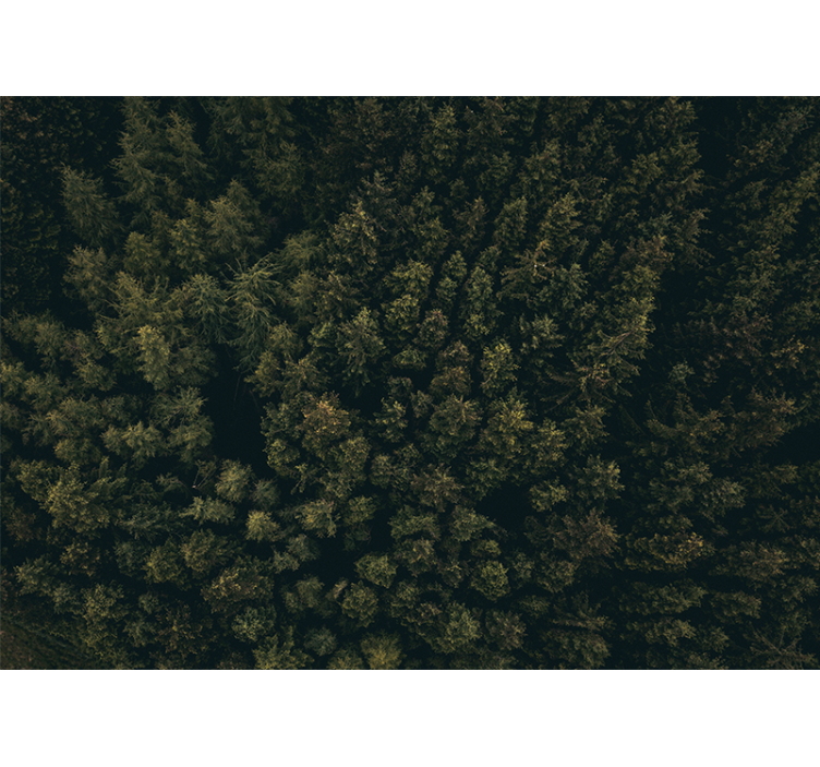 Mural de naturaleza dosel de vegetación exuberante - TenVinilo