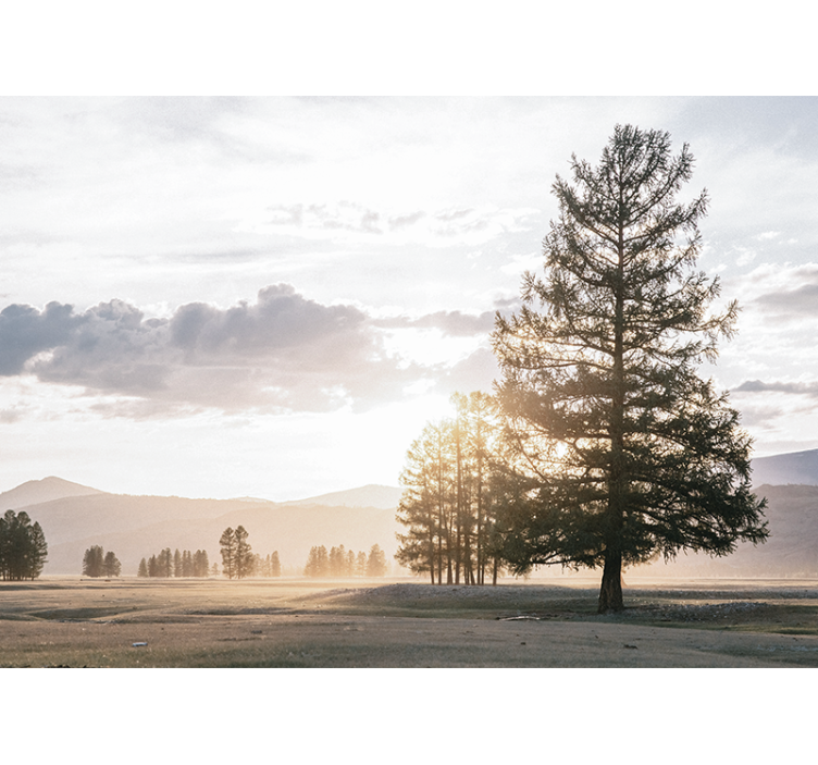 Mural de naturaleza silueta de pino sereno - TenVinilo