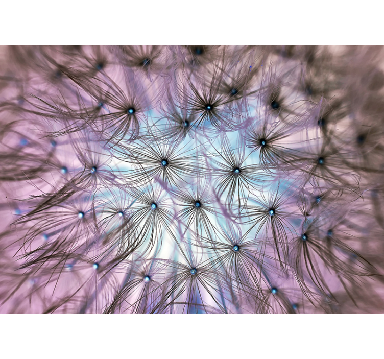 Fotomural pared interior diente de león - TenVinilo