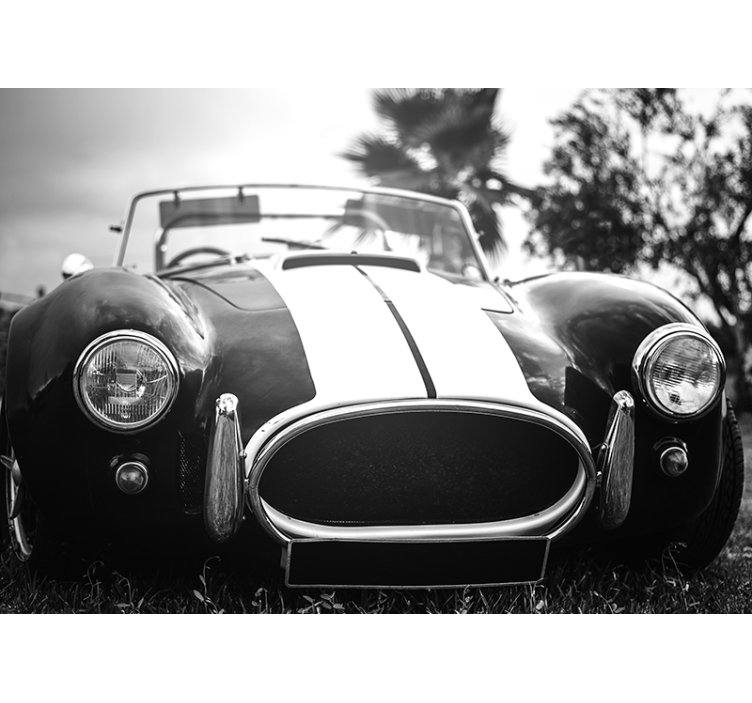 Fotomural pared automóvil carreras vintage - TenVinilo