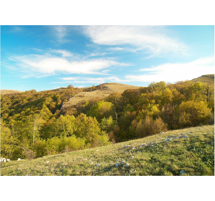 Mural de paisajes paisaje de colinas ondulantes - TenVinilo