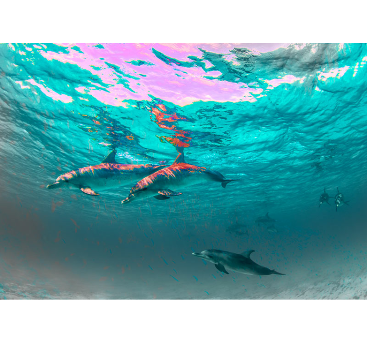 Mural de animales delfines nadando juguetonamente - TenVinilo