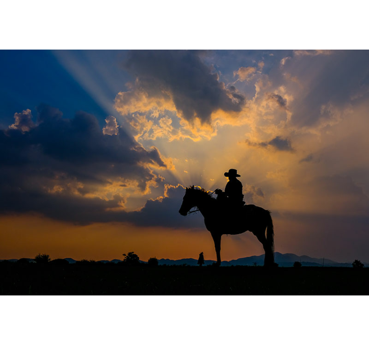 Mural de animales jinete sobre caballo - TenVinilo