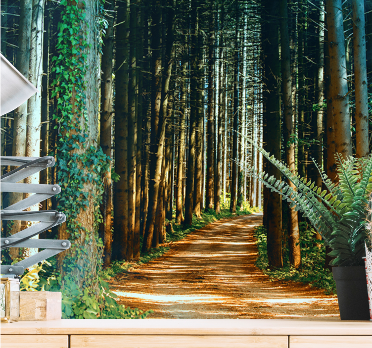 Fotomural de arboles Hermoso camino natural - TenVinilo