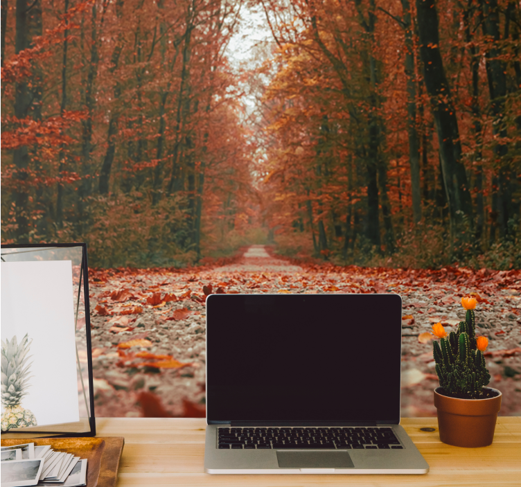 Fotomural de bosque Hermosas hojas de otoño coloridas - TenVinilo