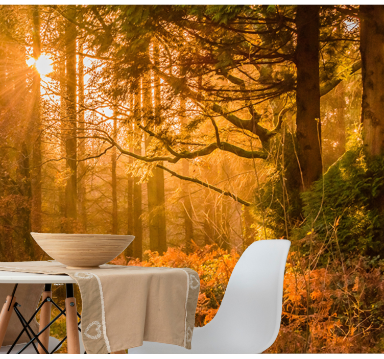 Fotomural de bosque Viejo árbol de otoño con flash de sol - TenVinilo