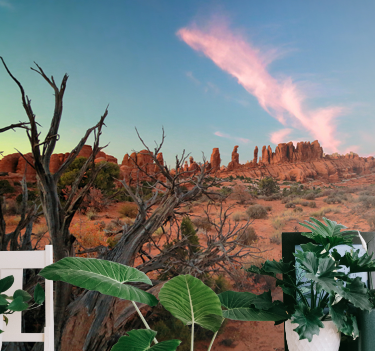 Fotomural desierto Paisaje al atardecer - TenVinilo