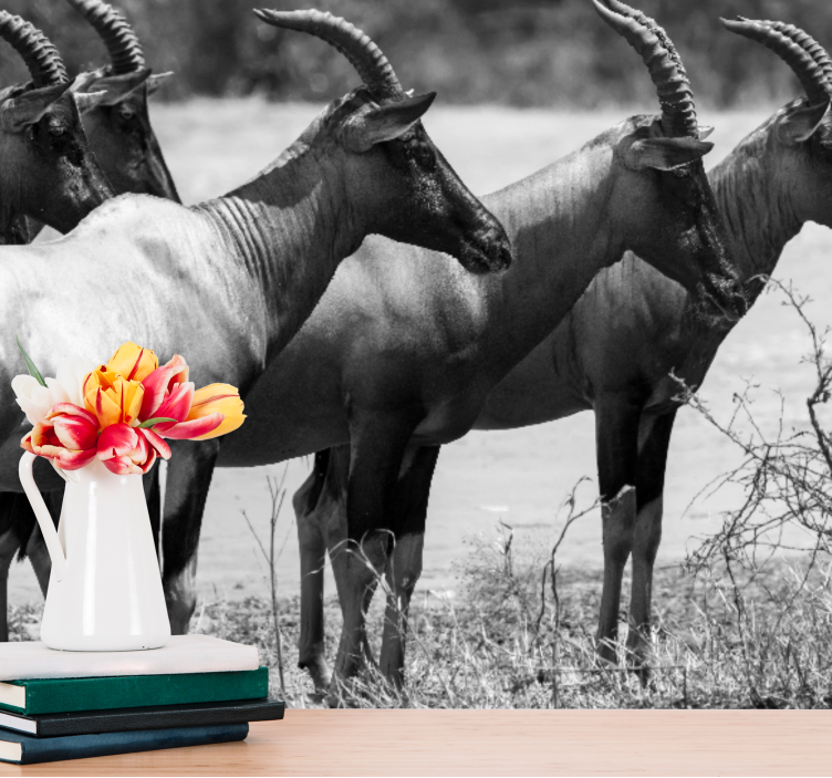 Fotomural africano Hermoso grupo antilope - TenVinilo