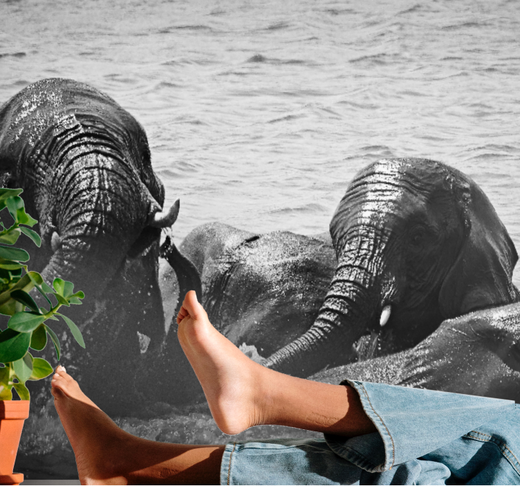 Mural de animales elefantes en líquido - TenVinilo