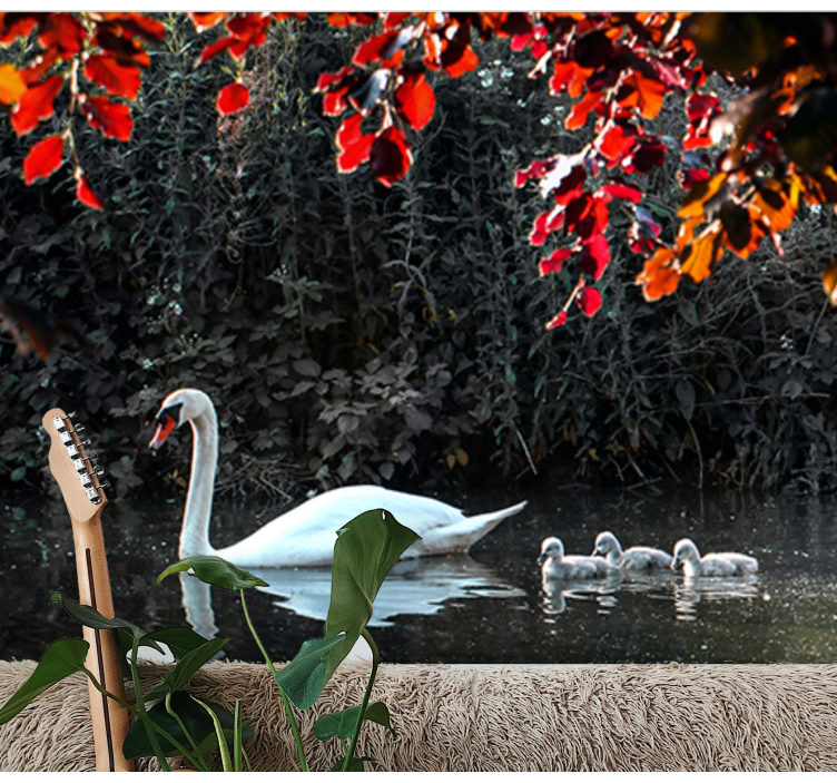 Mural de animales familia de cisnes elegante - TenVinilo