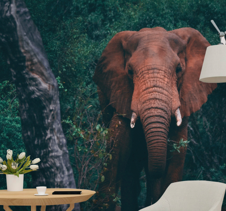 Mural de animales presencia del elefante majestuoso - TenVinilo
