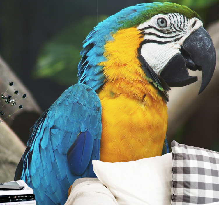 Mural de animales retrato de guacamayo - TenVinilo