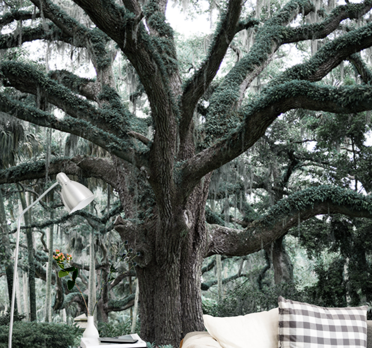 Mural de árboles majestuosas ramas de roble - TenVinilo
