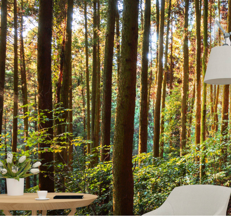 Mural de bosque bosque verde y frondoso - TenVinilo