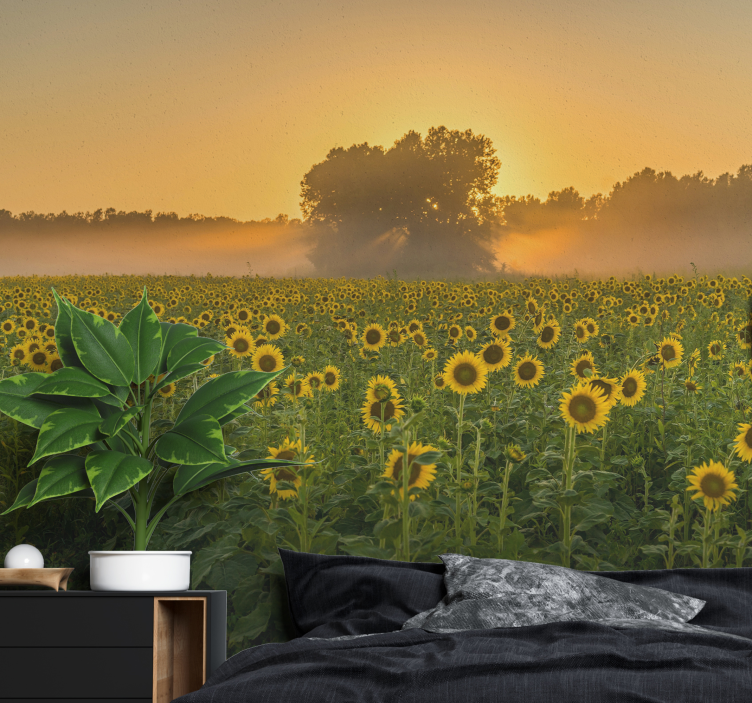 Mural de flores campo de girasoles al atardecer - TenVinilo