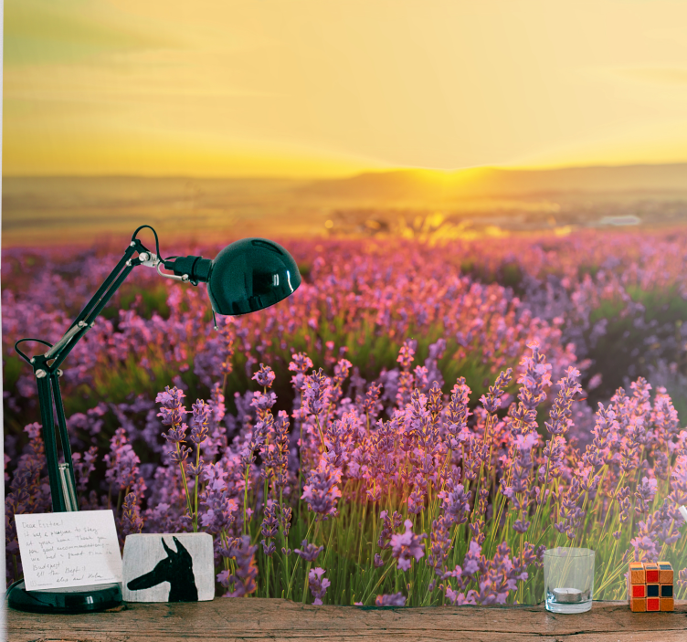 Mural de flores campo de lavanda al atardecer - TenVinilo